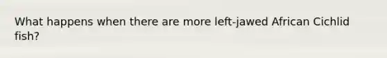 What happens when there are more left-jawed African Cichlid fish?