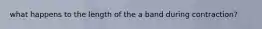 what happens to the length of the a band during contraction?