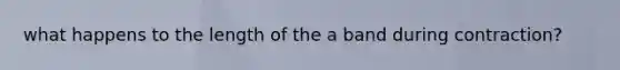 what happens to the length of the a band during contraction?