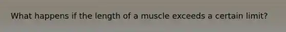 What happens if the length of a muscle exceeds a certain limit?