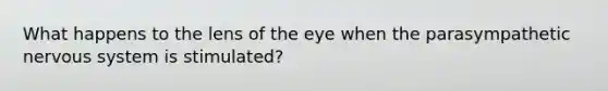 What happens to the lens of the eye when the parasympathetic nervous system is stimulated?