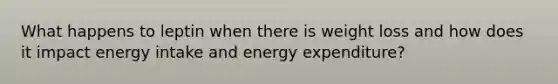 What happens to leptin when there is weight loss and how does it impact energy intake and energy expenditure?