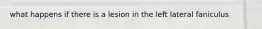 what happens if there is a lesion in the left lateral faniculus