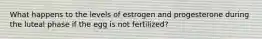 What happens to the levels of estrogen and progesterone during the luteal phase if the egg is not fertilized?