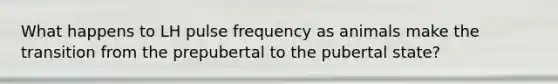 What happens to LH pulse frequency as animals make the transition from the prepubertal to the pubertal state?