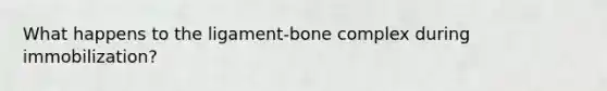 What happens to the ligament-bone complex during immobilization?