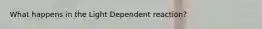 What happens in the Light Dependent reaction?