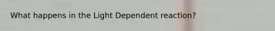 What happens in the Light Dependent reaction?