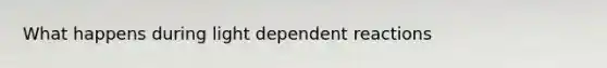 What happens during light dependent reactions