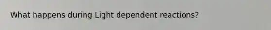 What happens during Light dependent reactions?