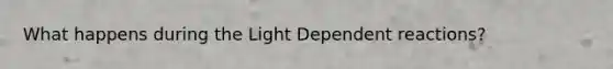 What happens during the Light Dependent reactions?