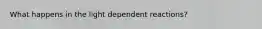 What happens in the light dependent reactions?