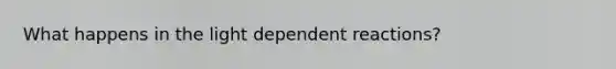 What happens in the light dependent reactions?