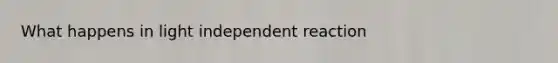 What happens in light independent reaction