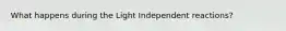 What happens during the Light Independent reactions?