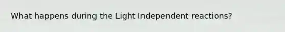 What happens during the Light Independent reactions?