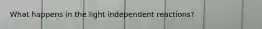 What happens in the light independent reactions?