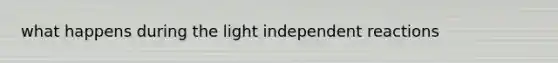 what happens during the light independent reactions