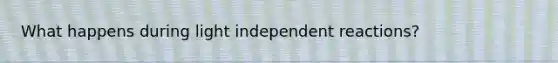 What happens during light independent reactions?