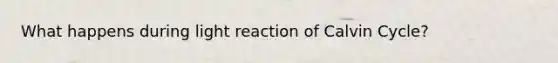 What happens during light reaction of Calvin Cycle?