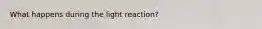 What happens during the light reaction?