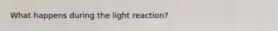 What happens during the light reaction?