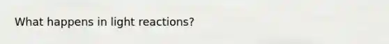 What happens in <a href='https://www.questionai.com/knowledge/kSUoWrrvoC-light-reactions' class='anchor-knowledge'>light reactions</a>?