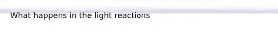 What happens in the <a href='https://www.questionai.com/knowledge/kSUoWrrvoC-light-reactions' class='anchor-knowledge'>light reactions</a>