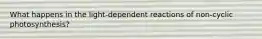 What happens in the light-dependent reactions of non-cyclic photosynthesis?