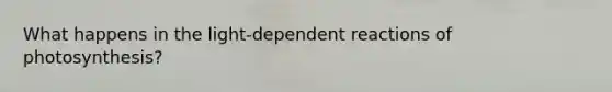 What happens in the light-dependent reactions of photosynthesis?