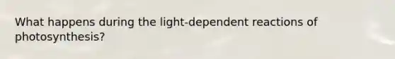 What happens during the light-dependent reactions of photosynthesis?