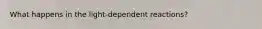What happens in the light-dependent reactions?