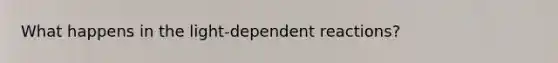 What happens in the light-dependent reactions?