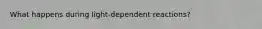 What happens during light-dependent reactions?