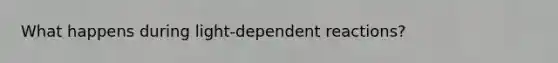 What happens during light-dependent reactions?