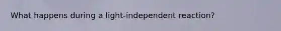 What happens during a light-independent reaction?