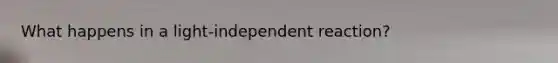 What happens in a light-independent reaction?