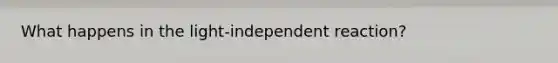 What happens in the light-independent reaction?