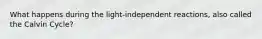 What happens during the light-independent reactions, also called the Calvin Cycle?