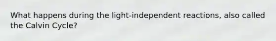 What happens during the light-independent reactions, also called the Calvin Cycle?