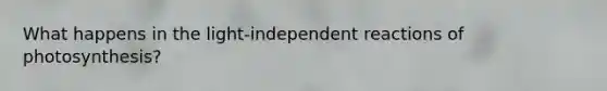 What happens in the light-independent reactions of photosynthesis?