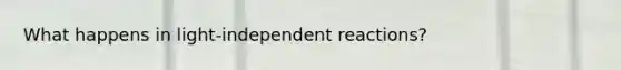 What happens in light-independent reactions?