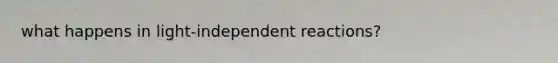 what happens in light-independent reactions?