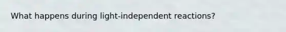 What happens during light-independent reactions?