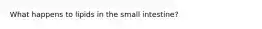 What happens to lipids in the small intestine?