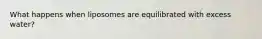 What happens when liposomes are equilibrated with excess water?