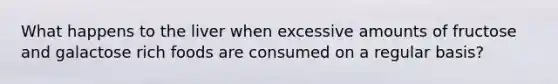 What happens to the liver when excessive amounts of fructose and galactose rich foods are consumed on a regular basis?