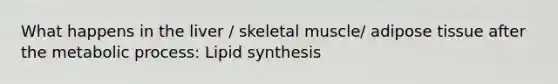 What happens in the liver / skeletal muscle/ adipose tissue after the metabolic process: Lipid synthesis