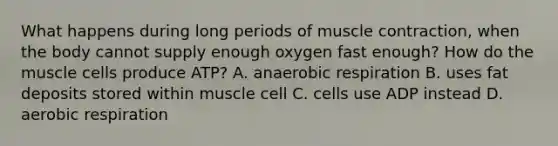 What happens during long periods of muscle contraction, when the body cannot supply enough oxygen fast enough? How do the muscle cells produce ATP? A. anaerobic respiration B. uses fat deposits stored within muscle cell C. cells use ADP instead D. aerobic respiration