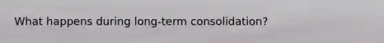 What happens during long-term consolidation?